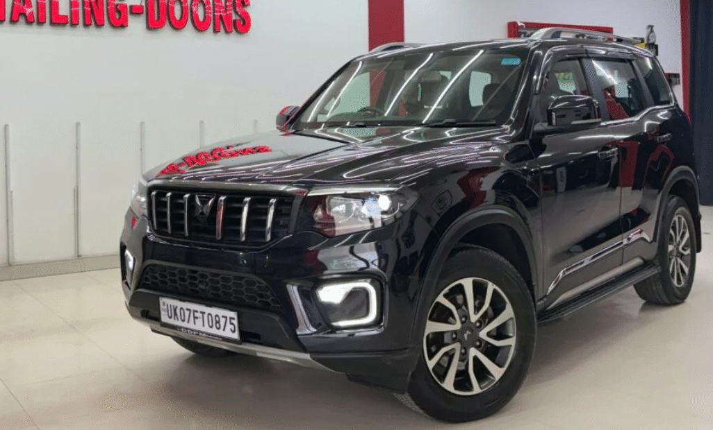 Untitled design (12)