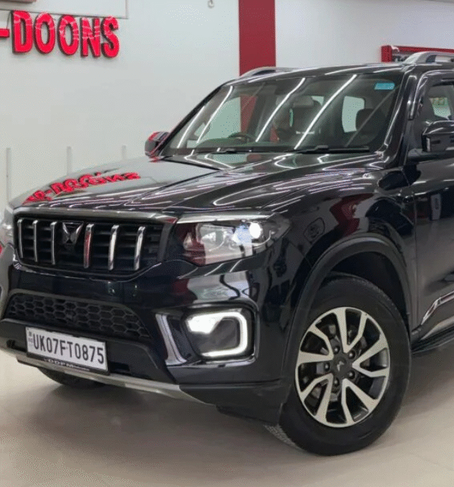 Untitled design (12) Untitled design (12)